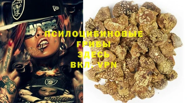 прущий лед Бугульма